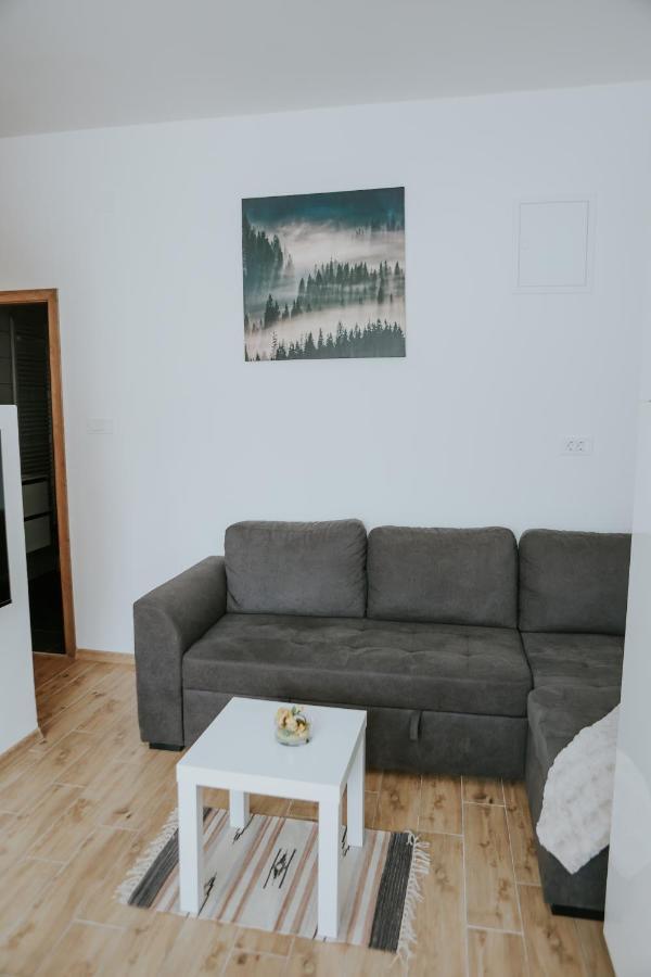 Apartman Nikola Gospic Bagian luar foto